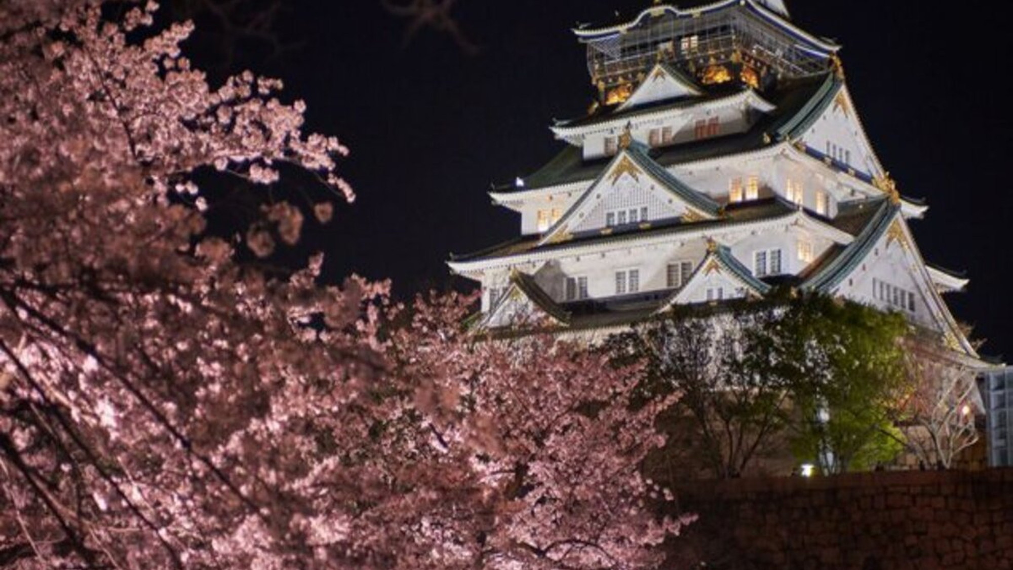 【大阪城】大阪城は大阪のシンボルで、桜の名所としても知られるエリアです。