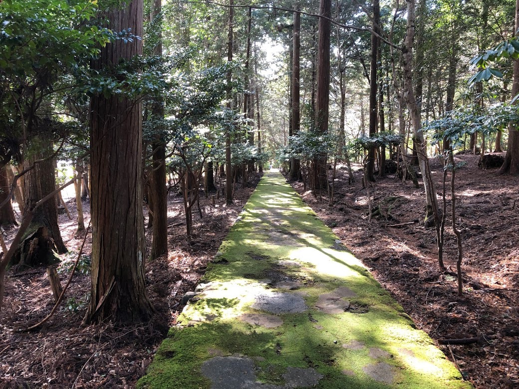 常照皇寺