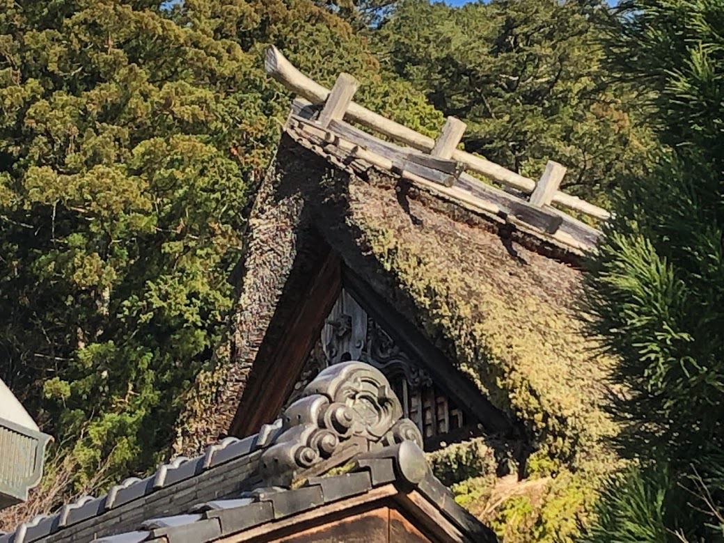 常照皇寺