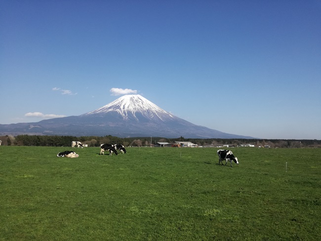 富士山