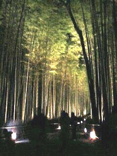 嵐山花灯路・竹林の小路