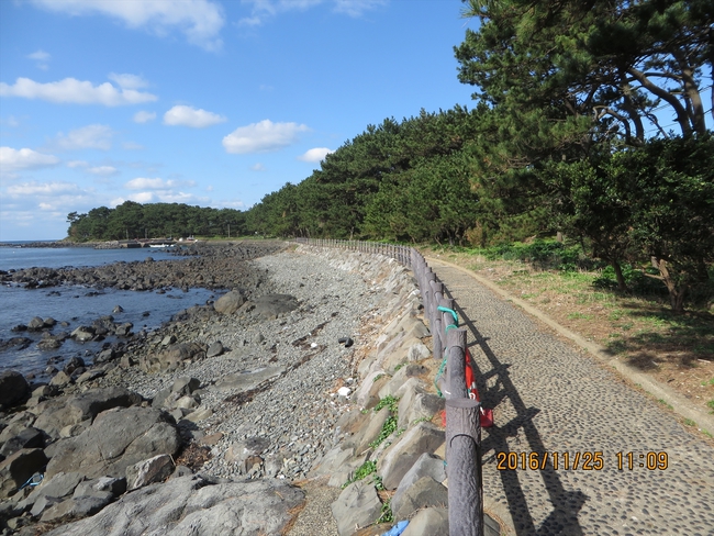 海岸歩道