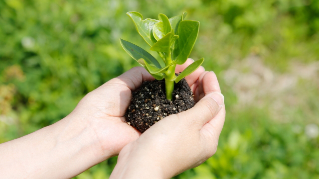ご連泊の方はエコ清掃をオススメします♪