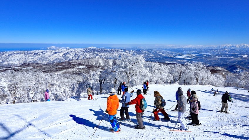 【周辺】野沢温泉スキー場。名物コースは眺望抜群！