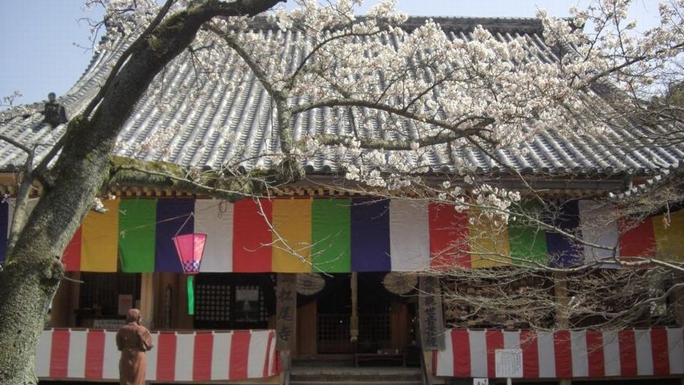 松尾寺(ホテルより車で約10分)桜・紅葉の名所です