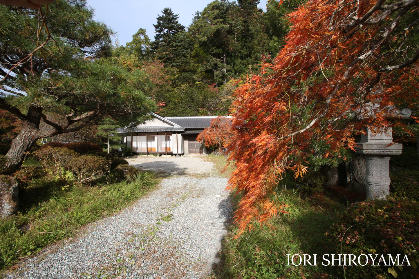 This photo about Iori Takayama shared on HyHotel.com