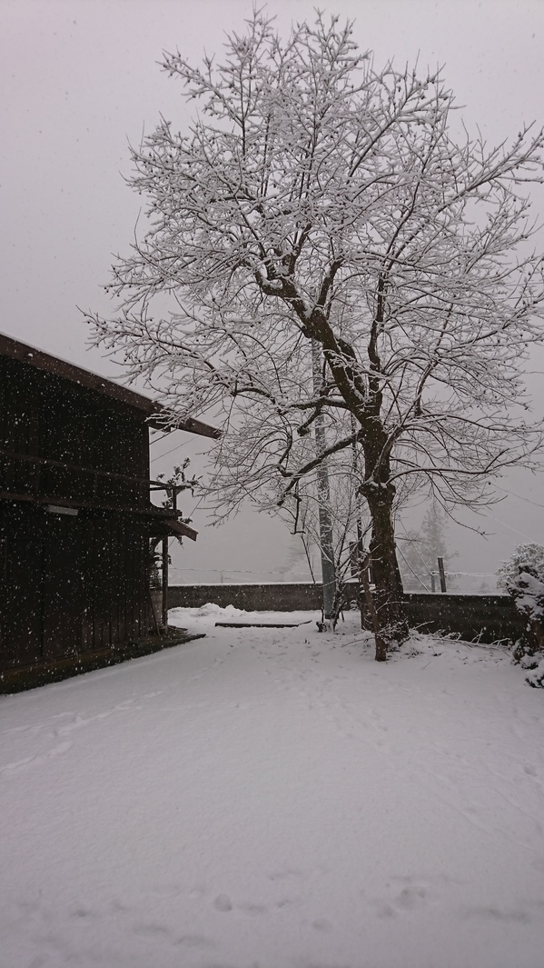 冬雪の赤沢資料館