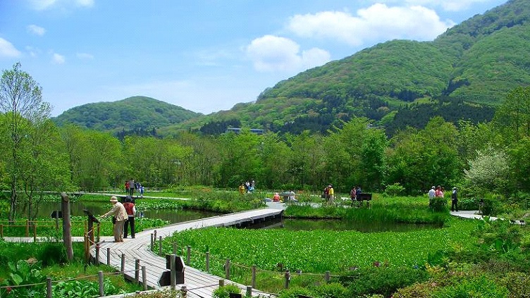 箱根湿生花園