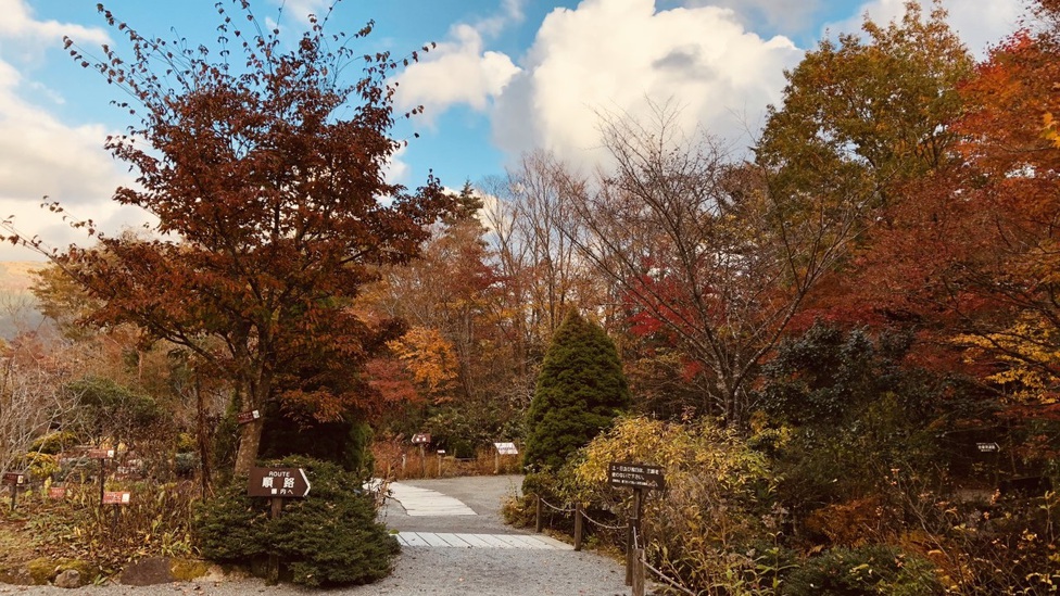 箱根湿生花園