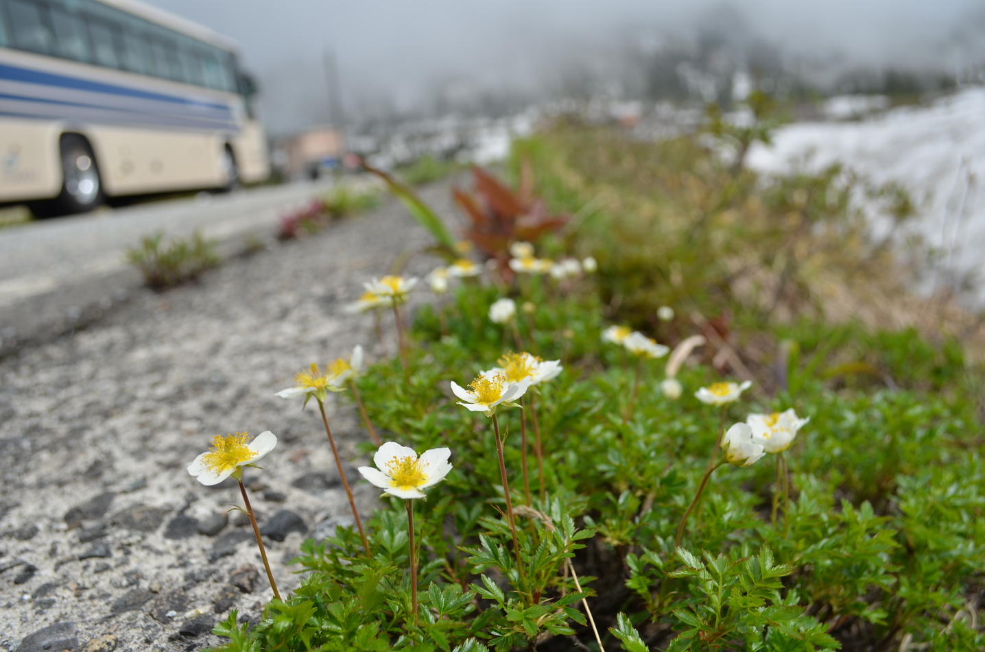 Kokuminshukusha Tateyamaso The -1-star Kokuminshukusha Tateyamaso offers comfort and convenience whether youre on business or holiday in Toyama. Featuring a satisfying list of amenities, guests will find their stay at the prop