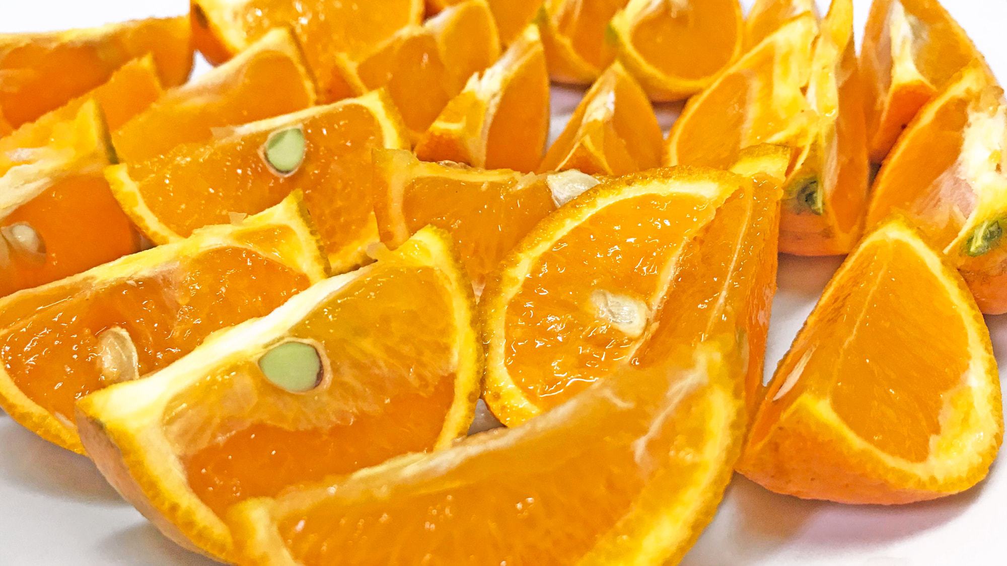 【手作り夕食一例】島の柑橘類デザート季節によって提供に変動がございます。