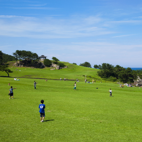 種差海岸_08