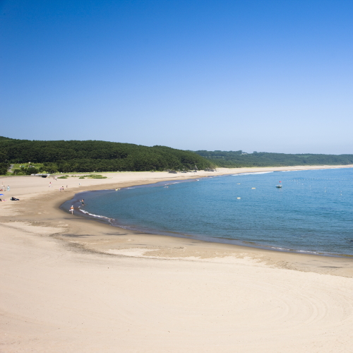 種差海岸_04