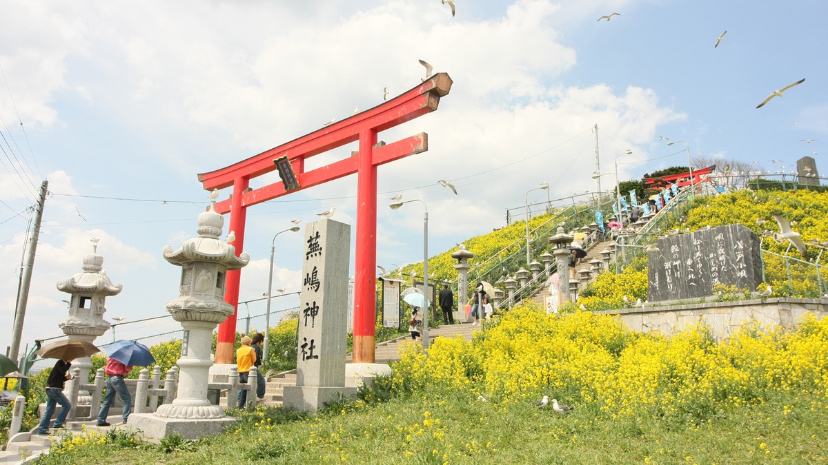 【蕪島】うみねこと菜の花が織りなす美しい景観が楽しめる天然記念物の繁殖地です。