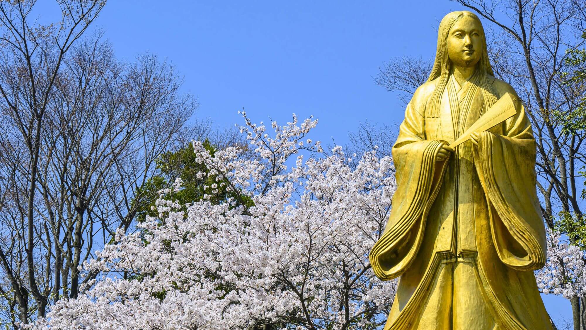 当館よりお車で20分。紫式部公園では、平安時代の雅な雰囲気の中、美しい桜が咲き誇ります。