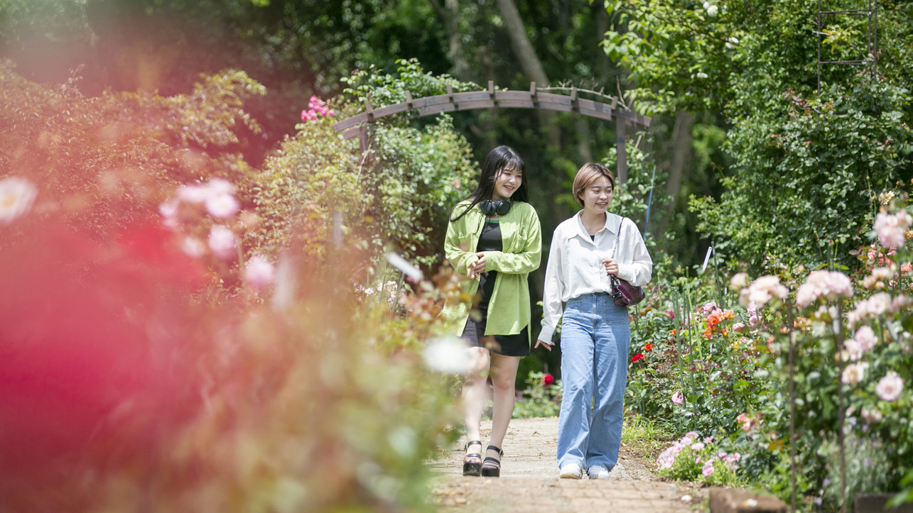 女将のバラ園5月には1000本ものバラが咲き誇ります♪