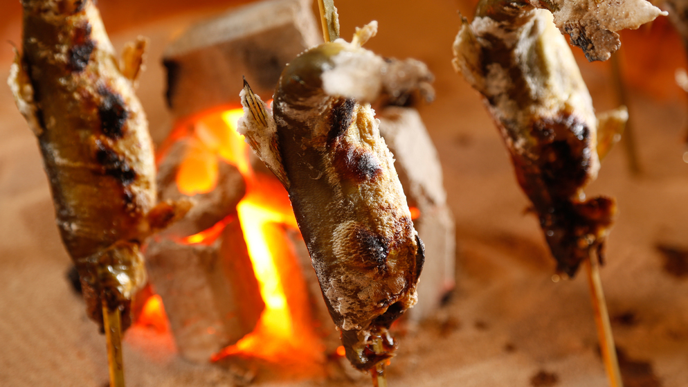 【冬季限定】伝統的な囲炉裏で焼き上げる里山の恵み、旧き佳き日本の食文化を山峡の宿で(料理イメージ)