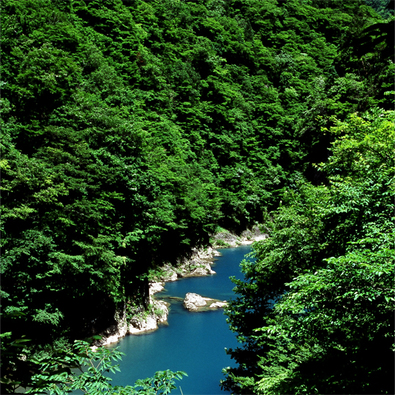 【夏】新緑の抱返り渓谷