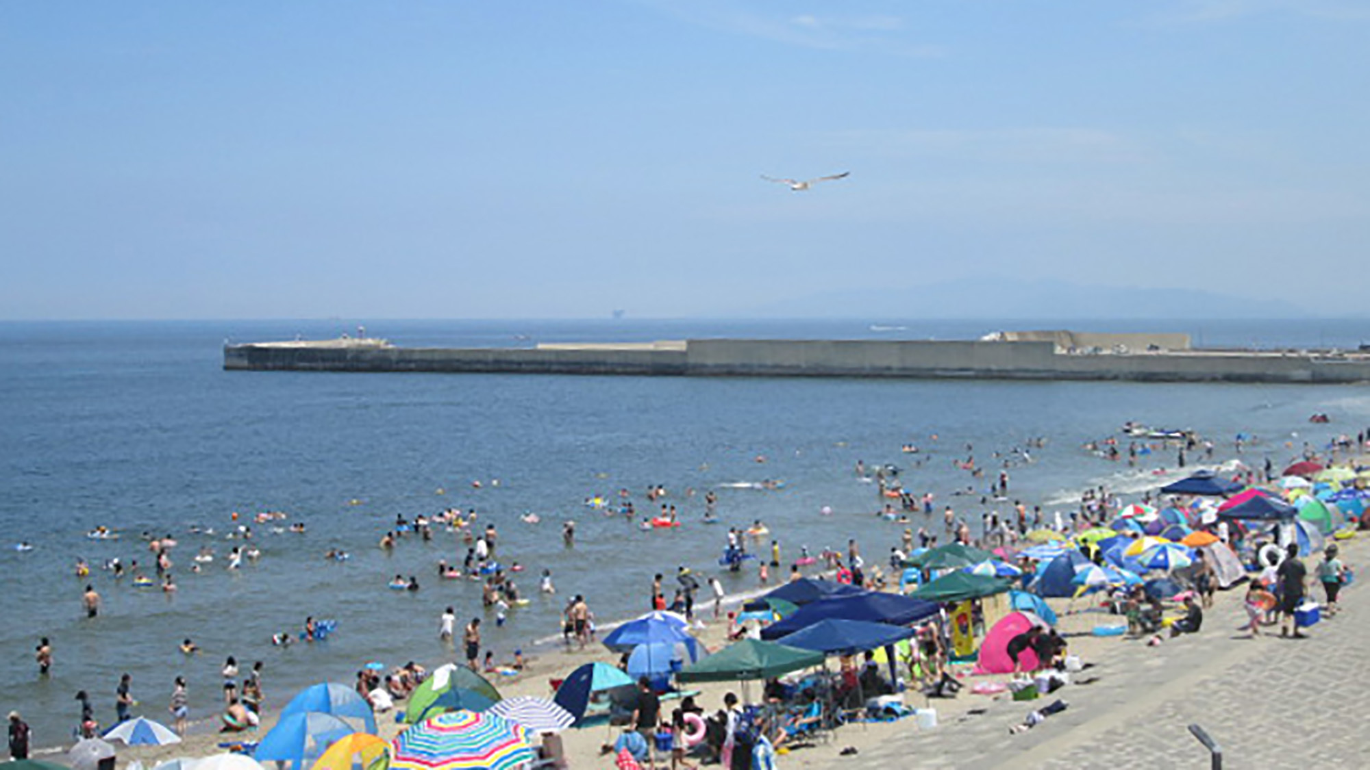 *［紫雲寺記念公園／飯塚浜海水浴場］夏休みには多くのお客様で賑わう遠浅の海岸