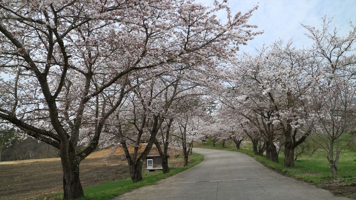 割烹旅館 松林閣の宿泊予約｜格安・最安値【トラベルコ】