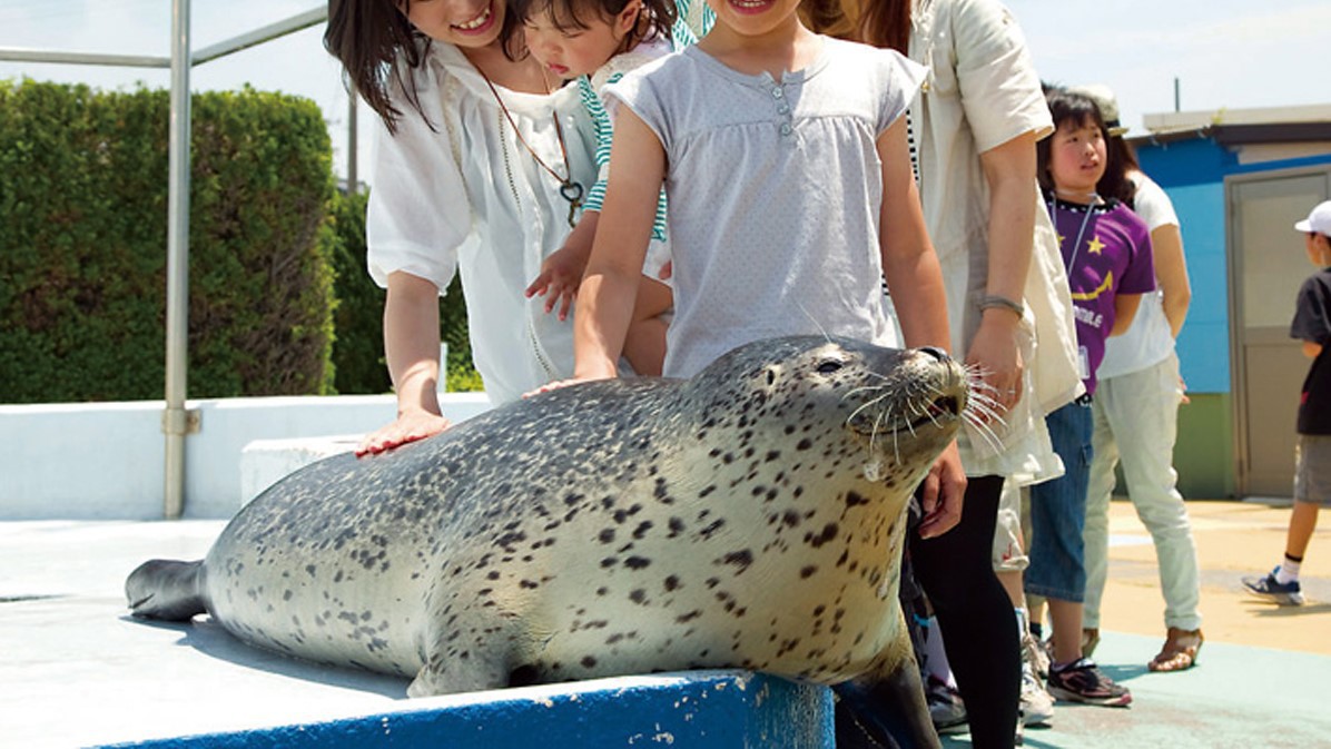 【南知多ビーチランド】当館から車で7分。イベント盛りだくさんのふれあい日本一の体験型水族館。