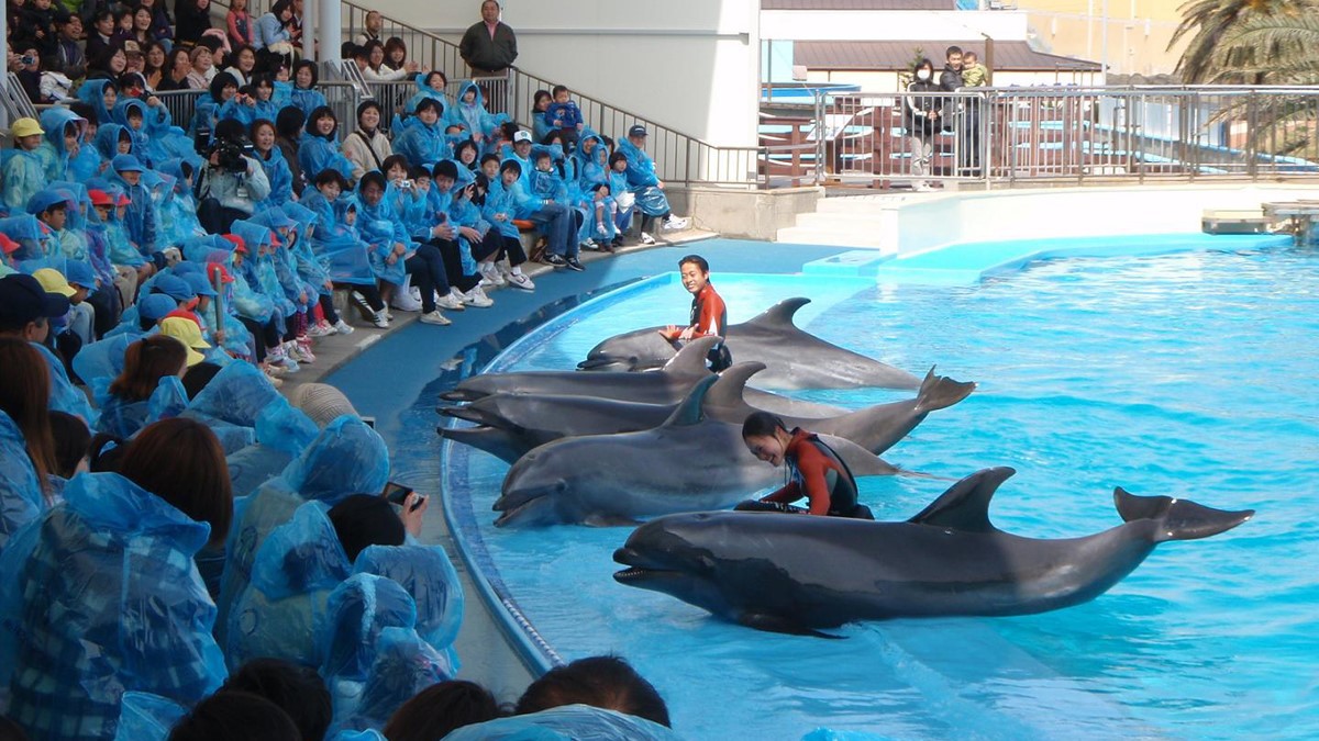 【南知多ビーチランド】当館から車で7分。イベント盛りだくさんのふれあい日本一の体験型水族館。