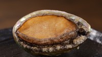 yČm{znEnIE鸁EmȂǓِlCNO1ȁuʁvA
