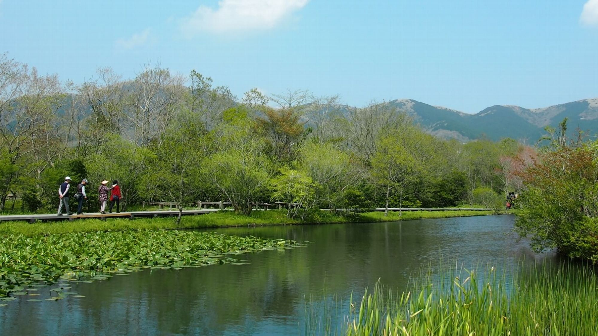 【周辺観光】箱根湿生花園
