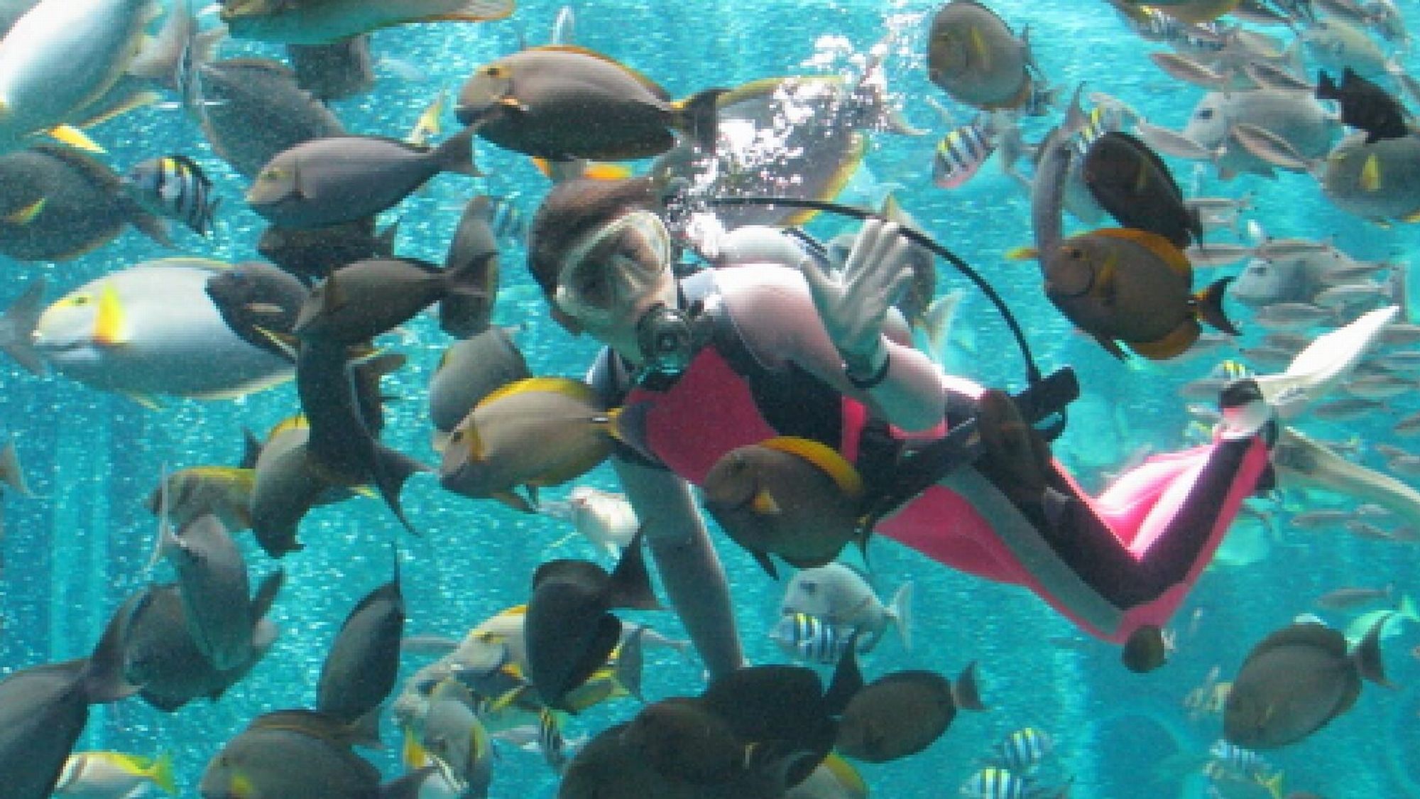 【周辺観光】箱根園水族館