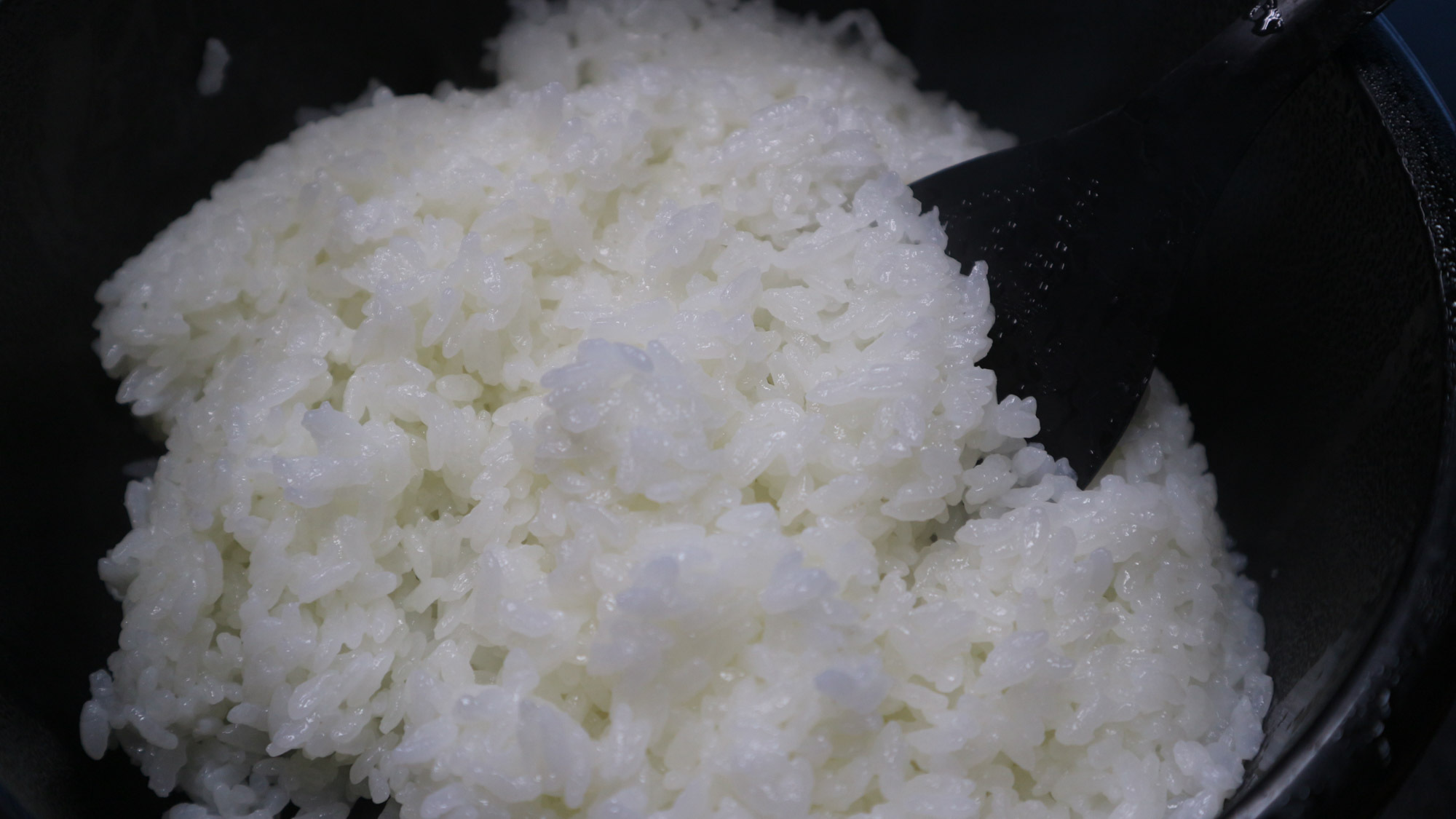 *［ご朝食一例／ごはん］炊き立てアツアツの青森県産のお米をご用意しております