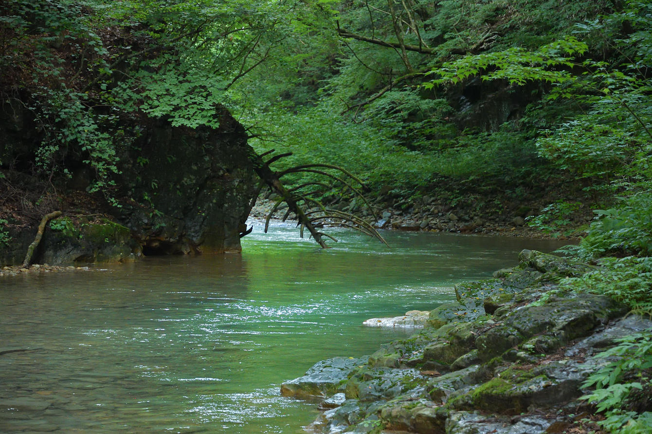 楓仙峡の川辺