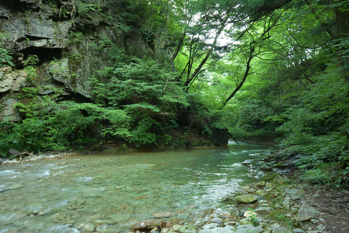 目の前に広がる四万川楓仙峡