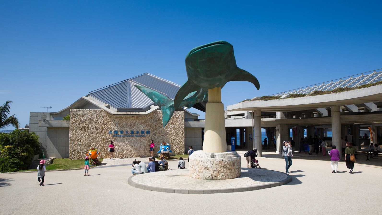 美ら海水族館まで10分