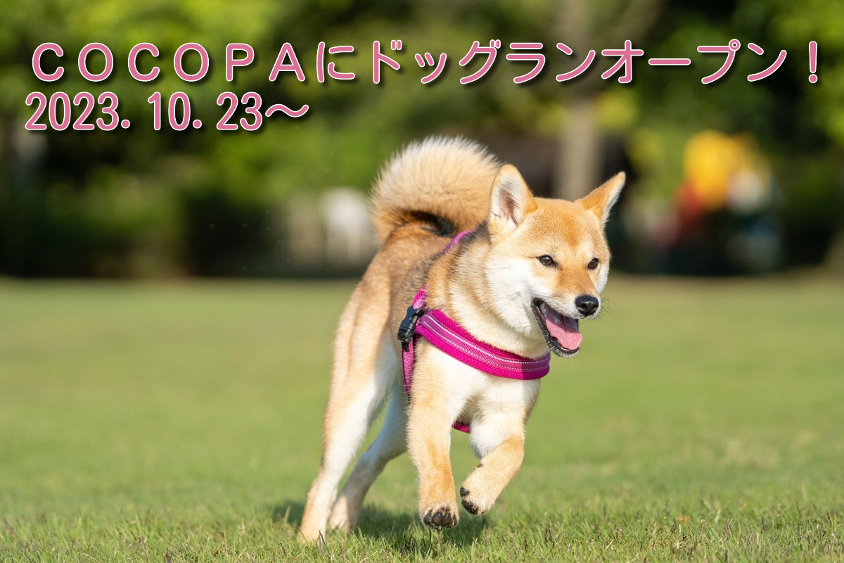 ドッグランオープン