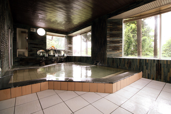 Ryokan Iwasawaso Main Image Ryokan Iwasawaso, Iwaki