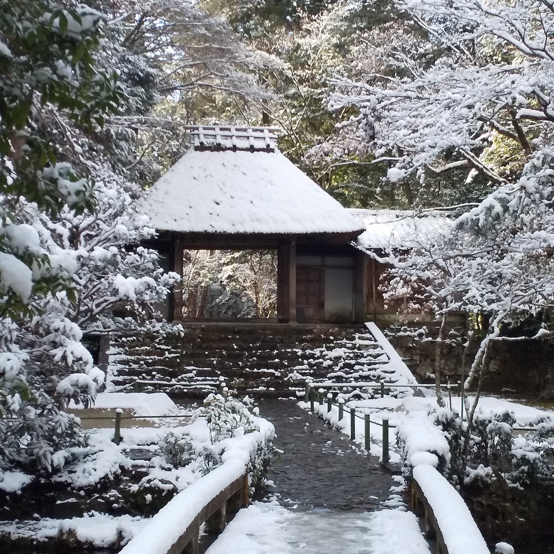 法然院雪化粧