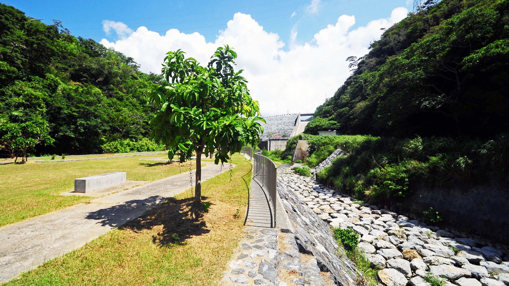 【真喜屋ダム】天気が良い日には絶景が望めます