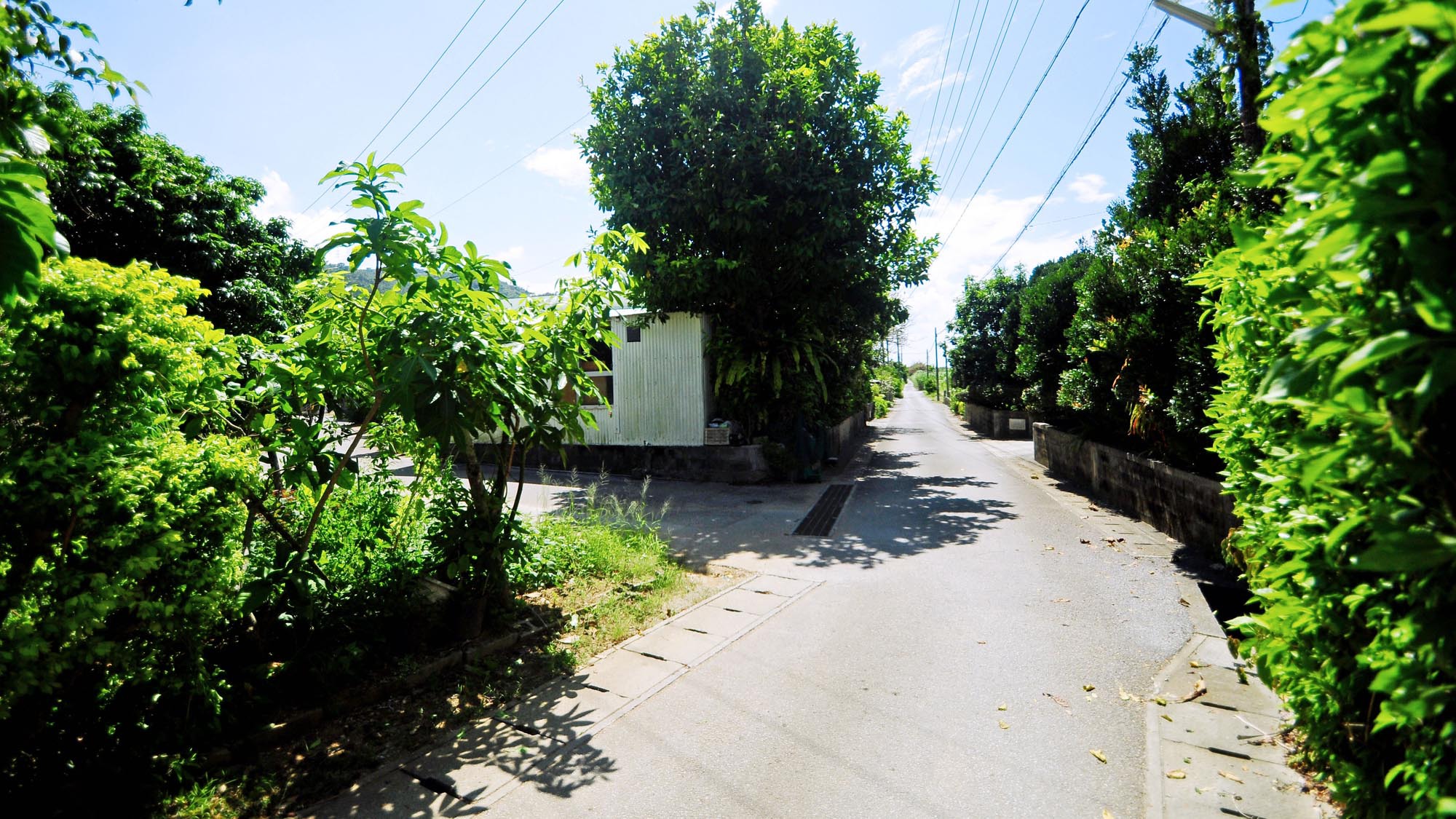 【周辺】宿の周辺にはのどかな集落風景が広がります