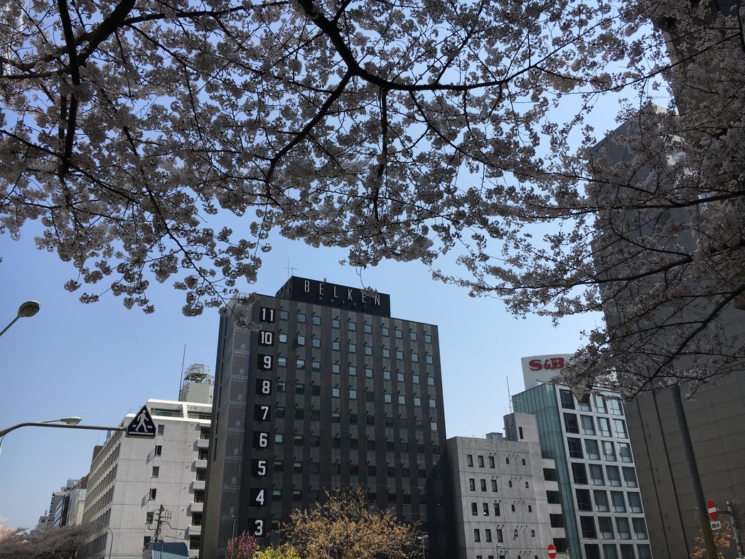 ホテル外観（桜）