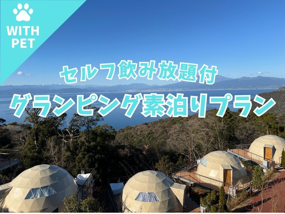 全国のペットと泊まれる人気のペンションランキング【楽天トラベル】 全国のペットと泊まれる人気のペンションランキング【楽天トラベル】