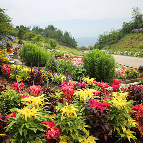 This photo about Iox Wald shared on HyHotel.com