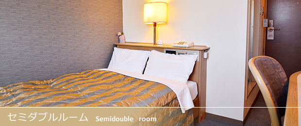 New Toyo Hotel 2 Image 2, Toyohashi, Japan