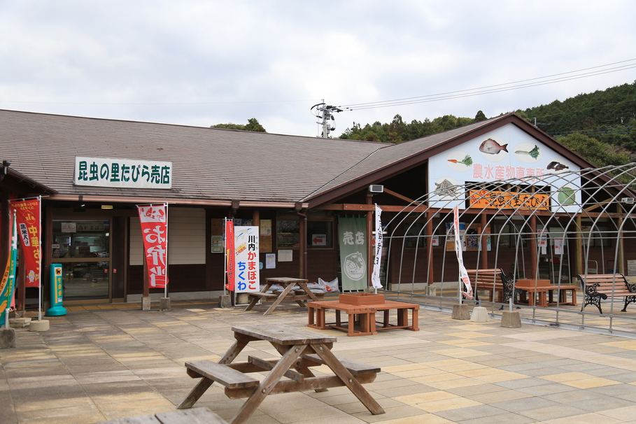 道の駅昆虫の里たびら