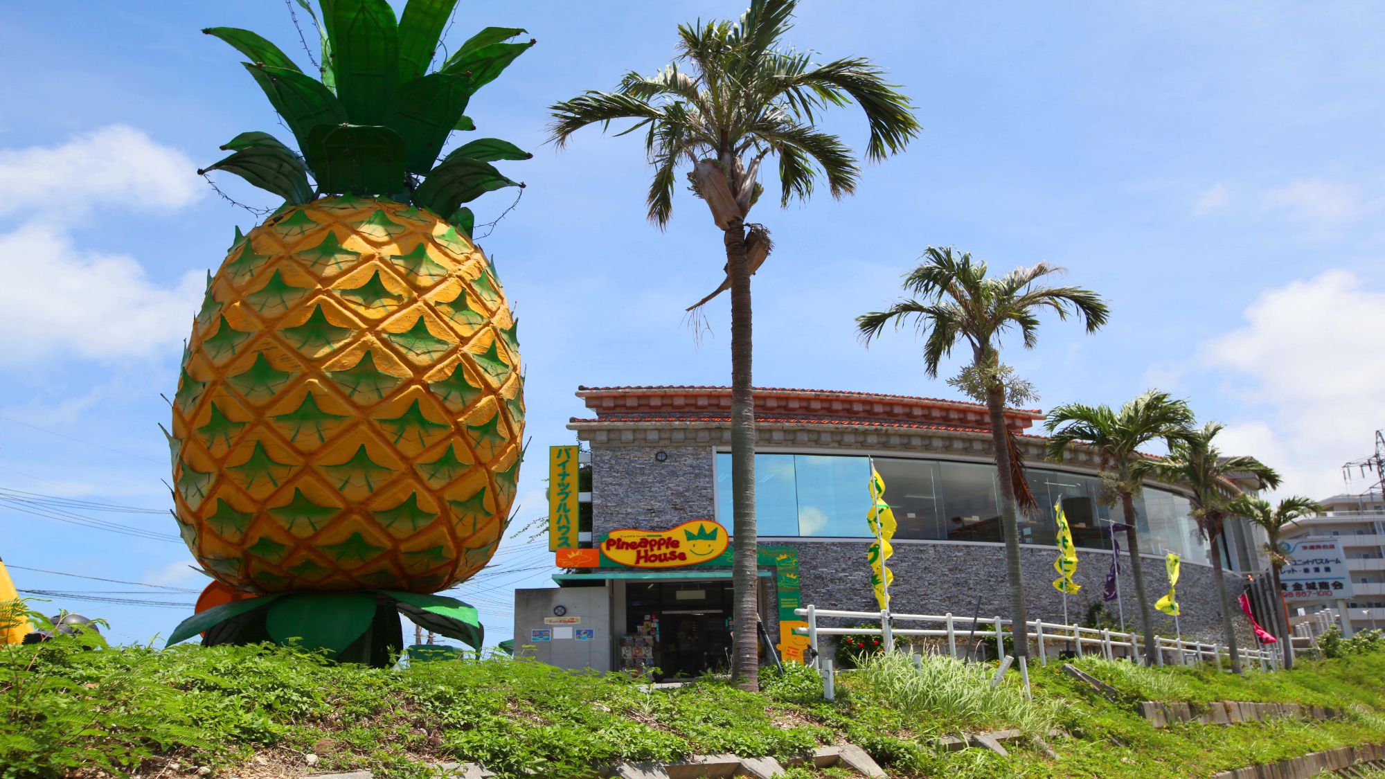 【ナゴパイナップルパーク】当館から車で約10分