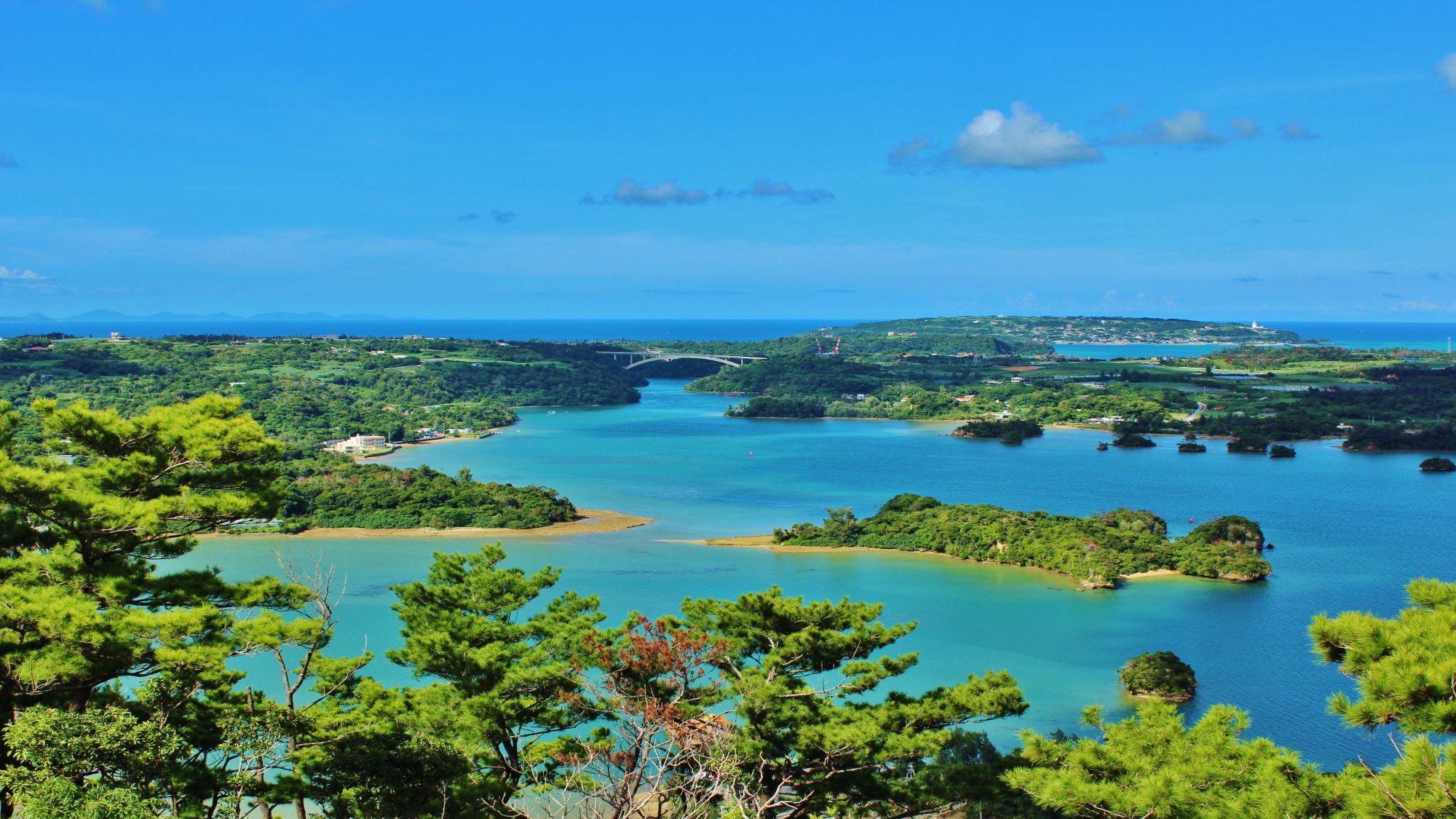 【嵐山展望台】車で約22分