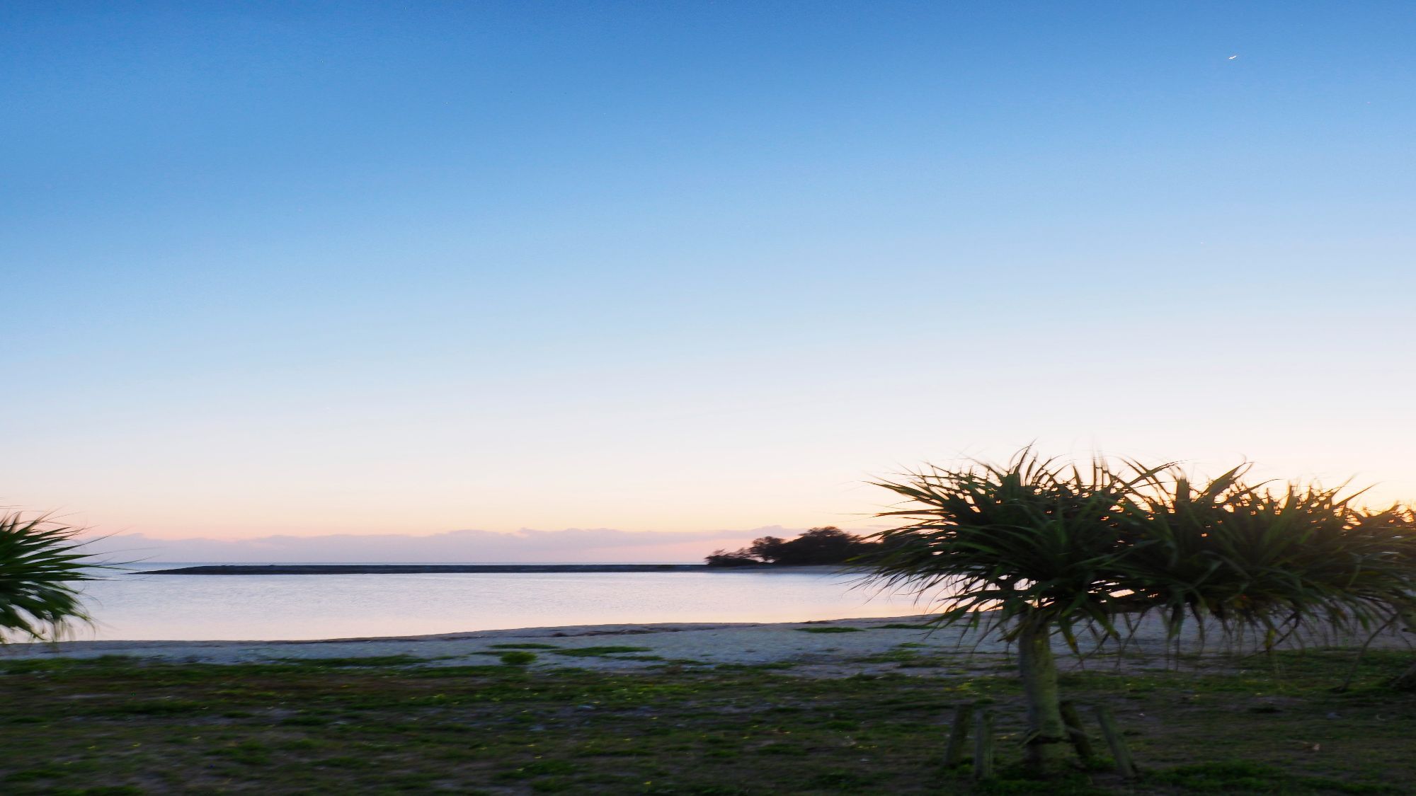 【21世紀の森ビーチ】車で約10分