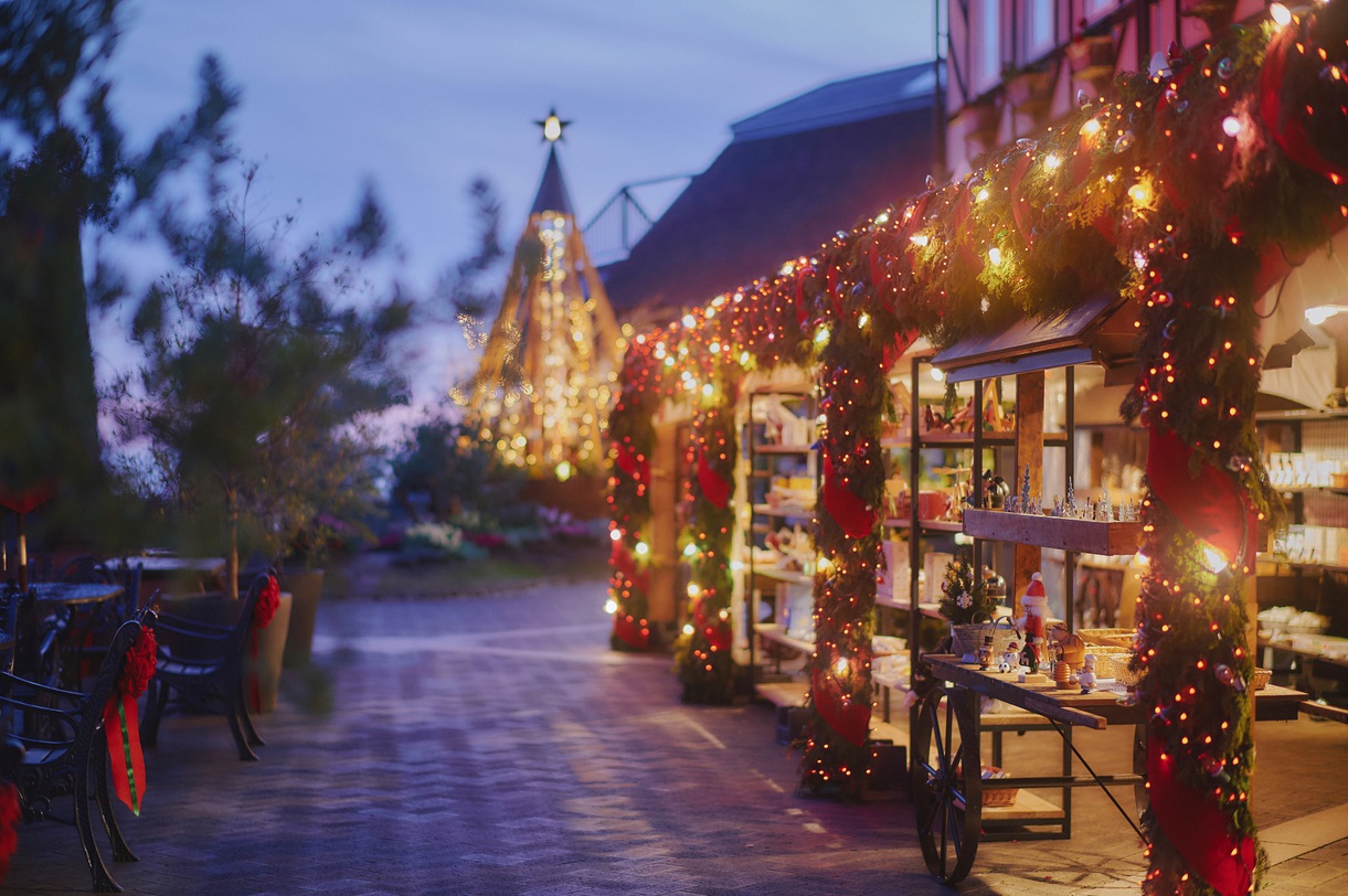 神戸布引ハーブ園・冬