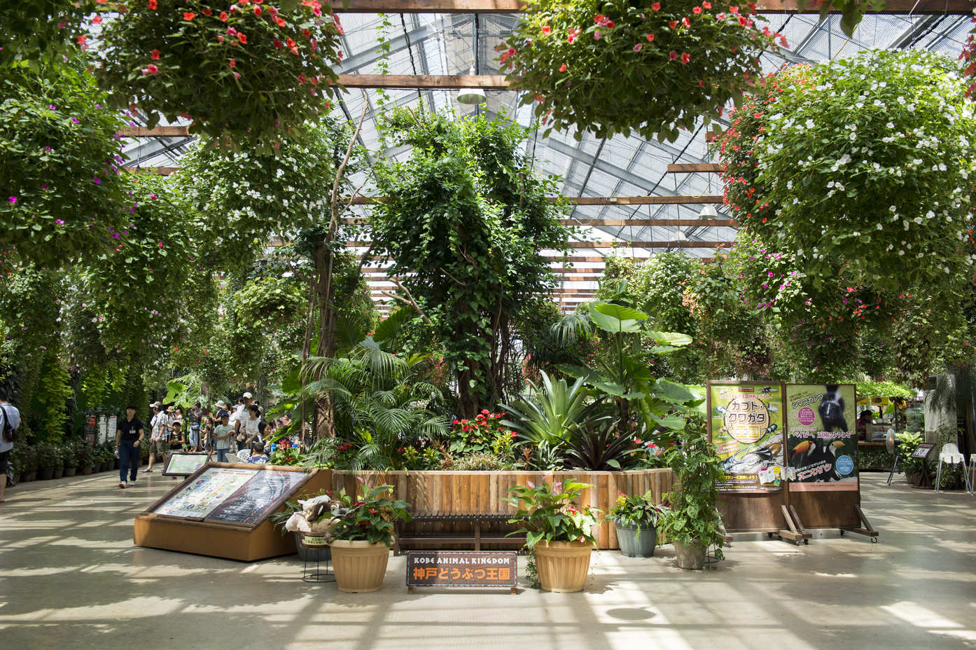 神戸どうぶつ王国 ©;KOBE TOURISM BUREAU