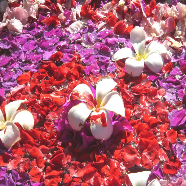 バリエステイメージ（花）