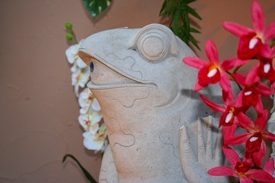 イメージ（カエル）S